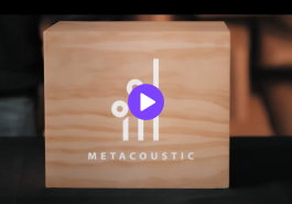 METACOUSTIC